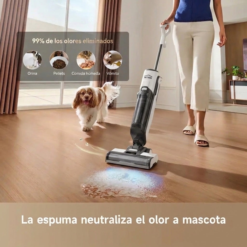 La casa deja de oler a perro mojado
